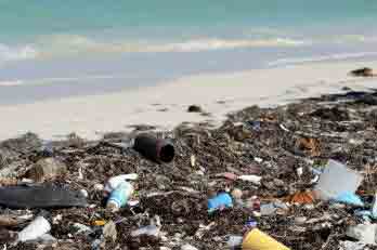 multas a quienes ensucien playas