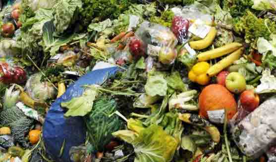 A nivel nacional, de las 150 toneladas por día de frutas y verduras que distribuye la multinacional Dole para el mercado local, los chilenos consumimos lechugas en un 30%, cebolla, zanahoria y apios 12% cada uno, papas y repollos 8%, manzanas, peras y kiwis 10%, alimentos que en gran parte van a dar a la basura.