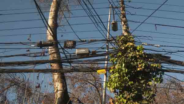 SEC: Mantención de tendido eléctrico es responsabilidad de las empresas